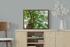 Pixalot ® Tree Canopy