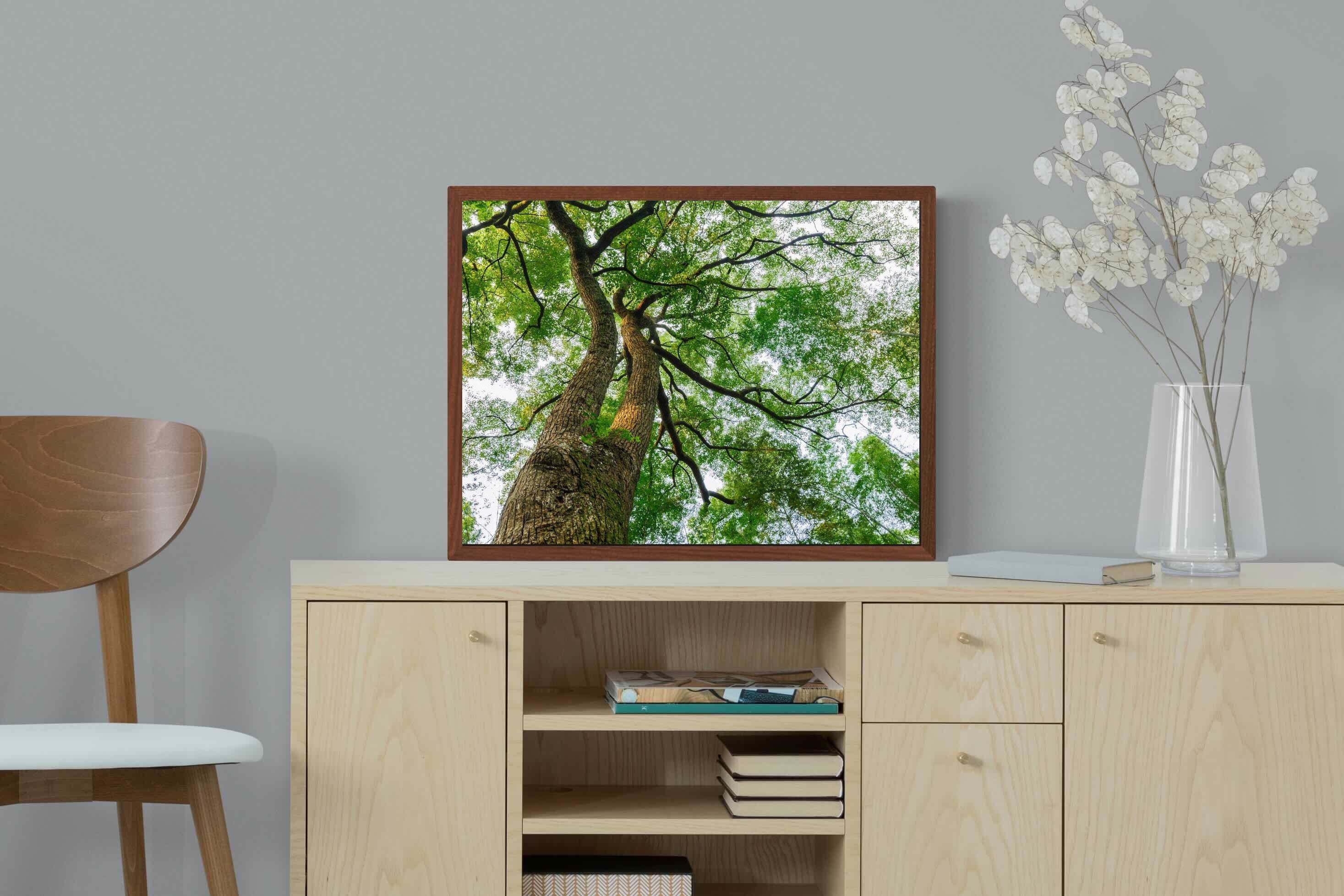 Pixalot ® Tree Canopy