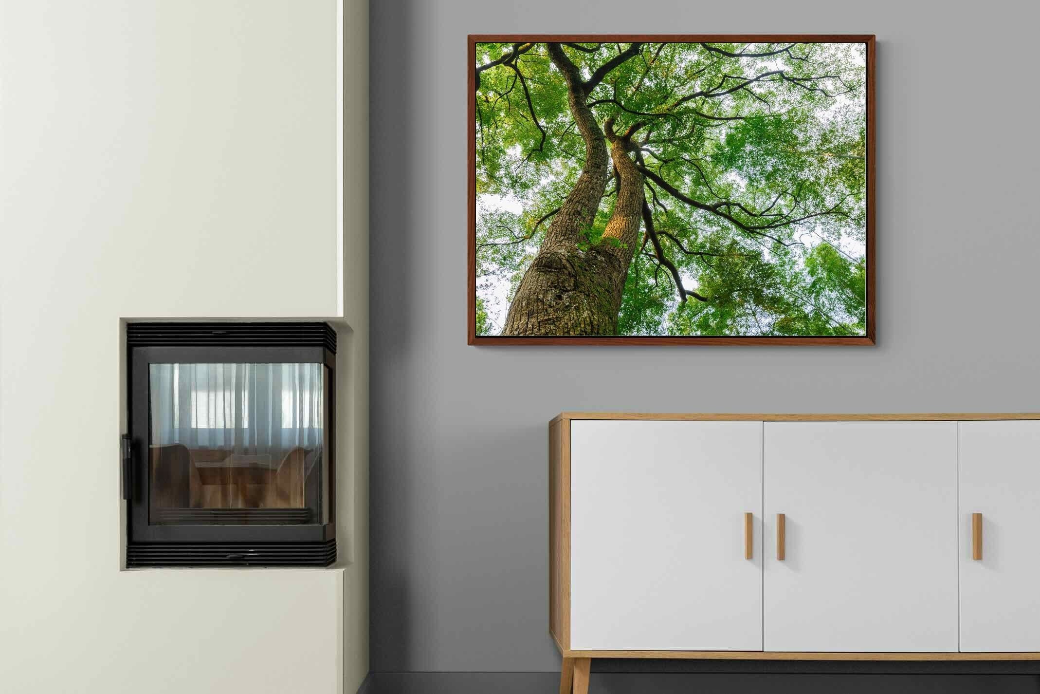 Pixalot ® Tree Canopy