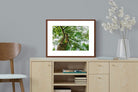 Pixalot ® Tree Canopy