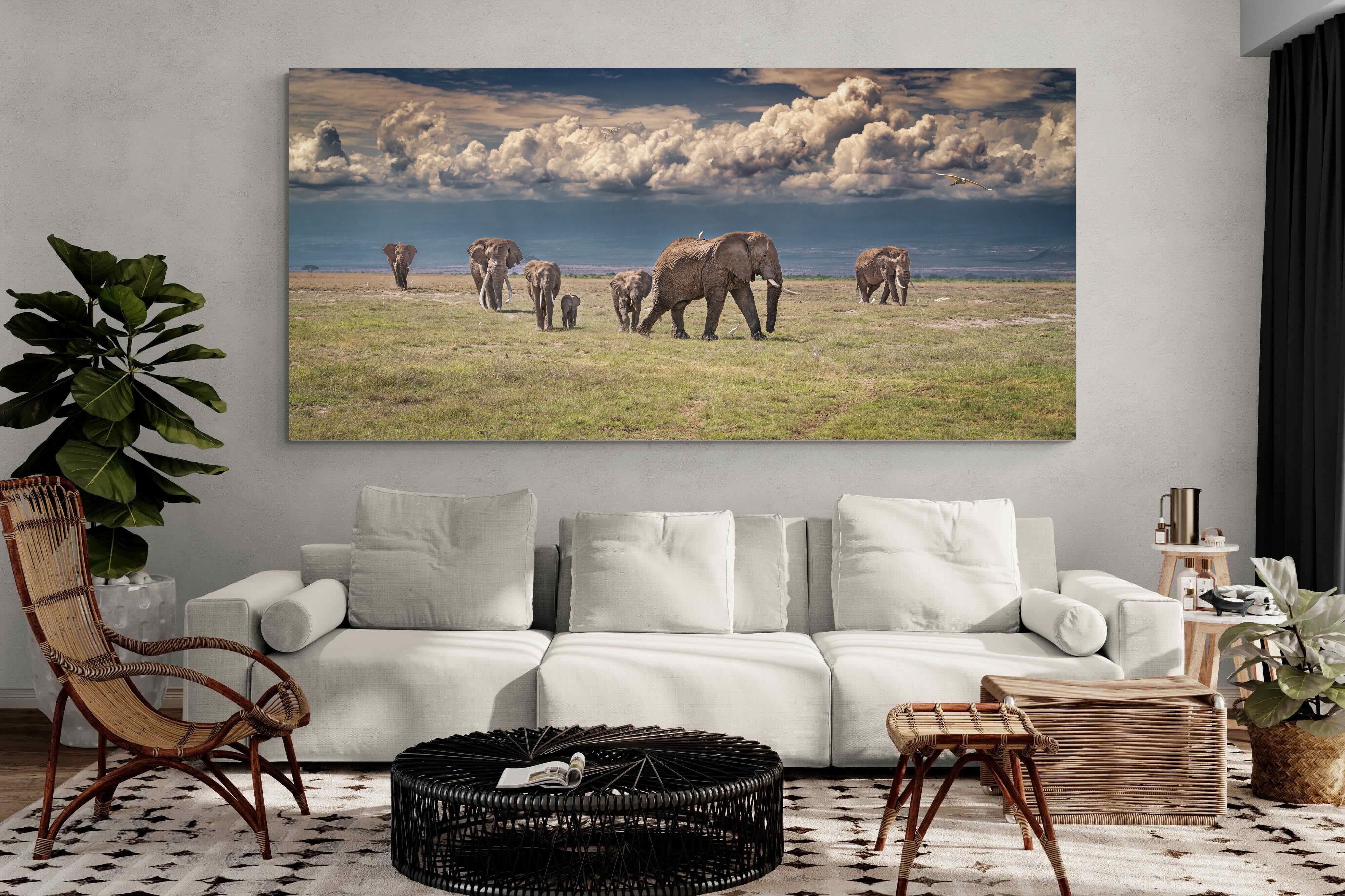 Pixalot Under Gathering Skies