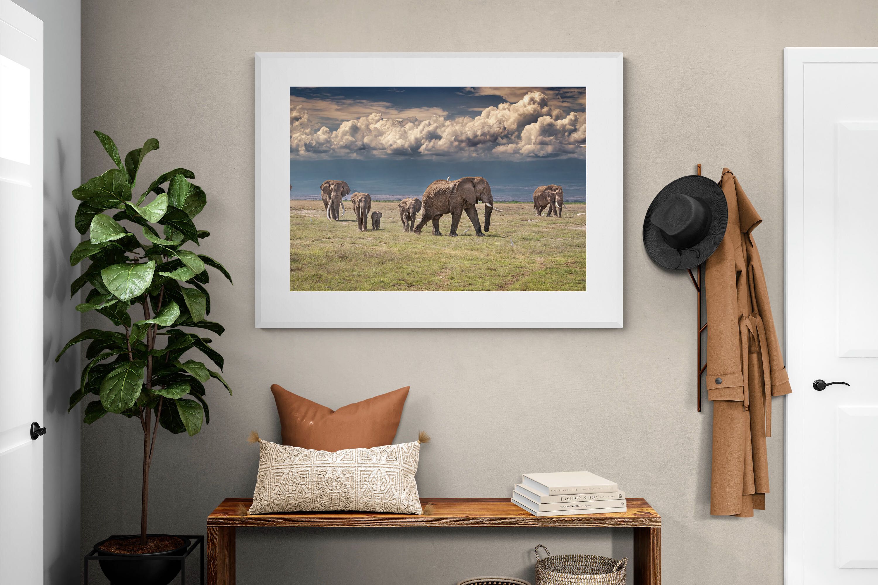 Pixalot Under Gathering Skies