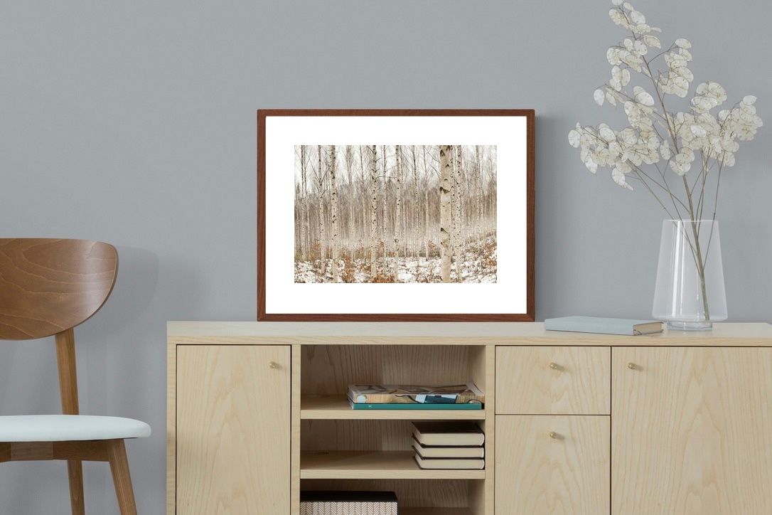 Pixalot ® Winter Forest