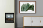 Pixalot ® Pointy Frond