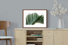 Pixalot ® Pointy Frond