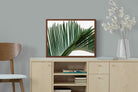 Pixalot ® Pointy Frond