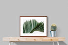 Pixalot ® Pointy Frond