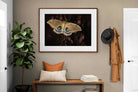 Pixalot ® Polyphemus