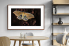 Pixalot ® Polyphemus
