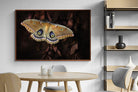 Pixalot ® Polyphemus