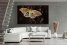 Pixalot ® Polyphemus