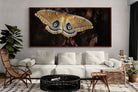 Pixalot ® Polyphemus