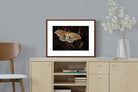 Pixalot ® Polyphemus