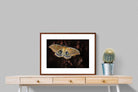 Pixalot ® Polyphemus