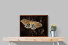 Pixalot ® Polyphemus
