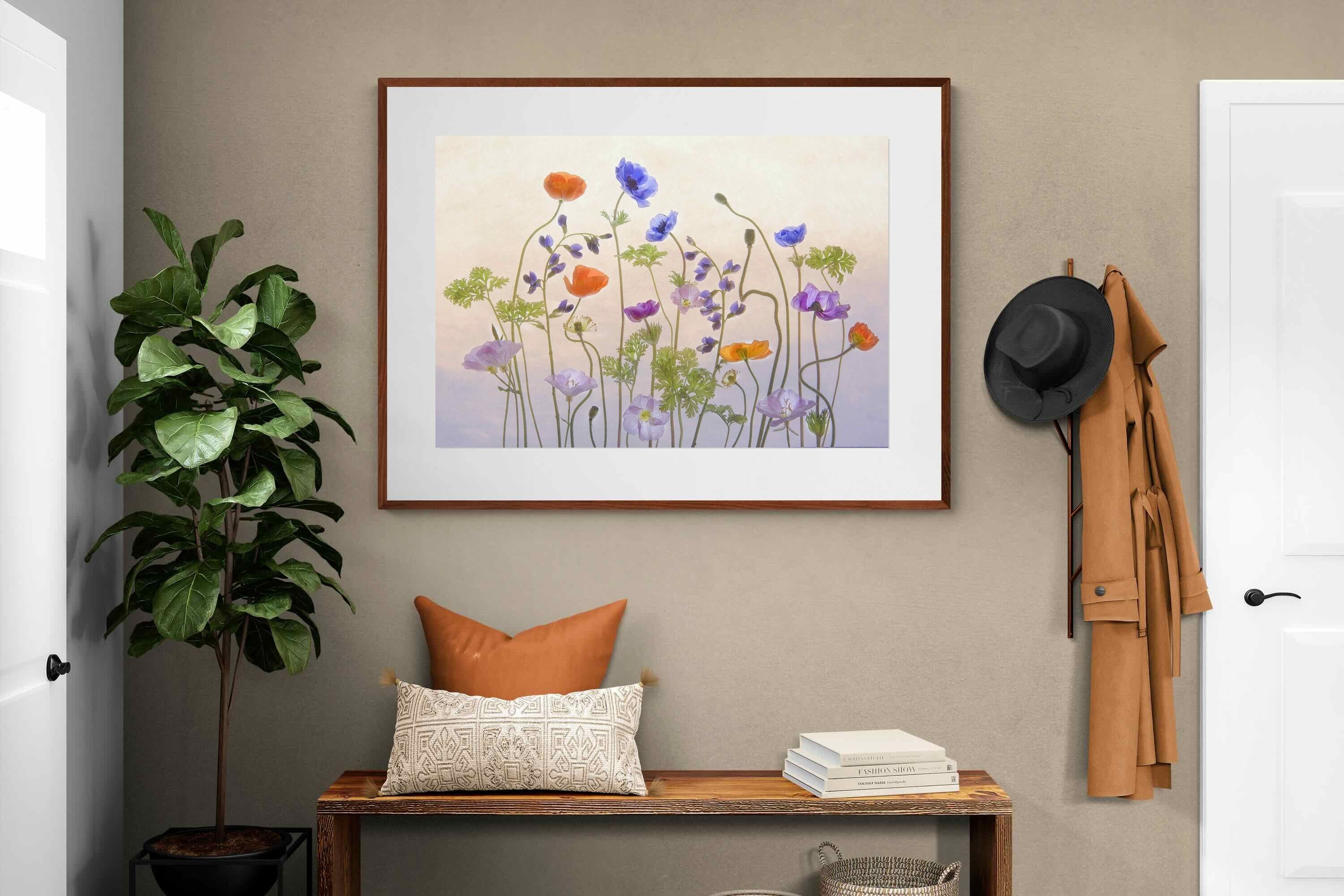 Pixalot ® Poppy Anemone