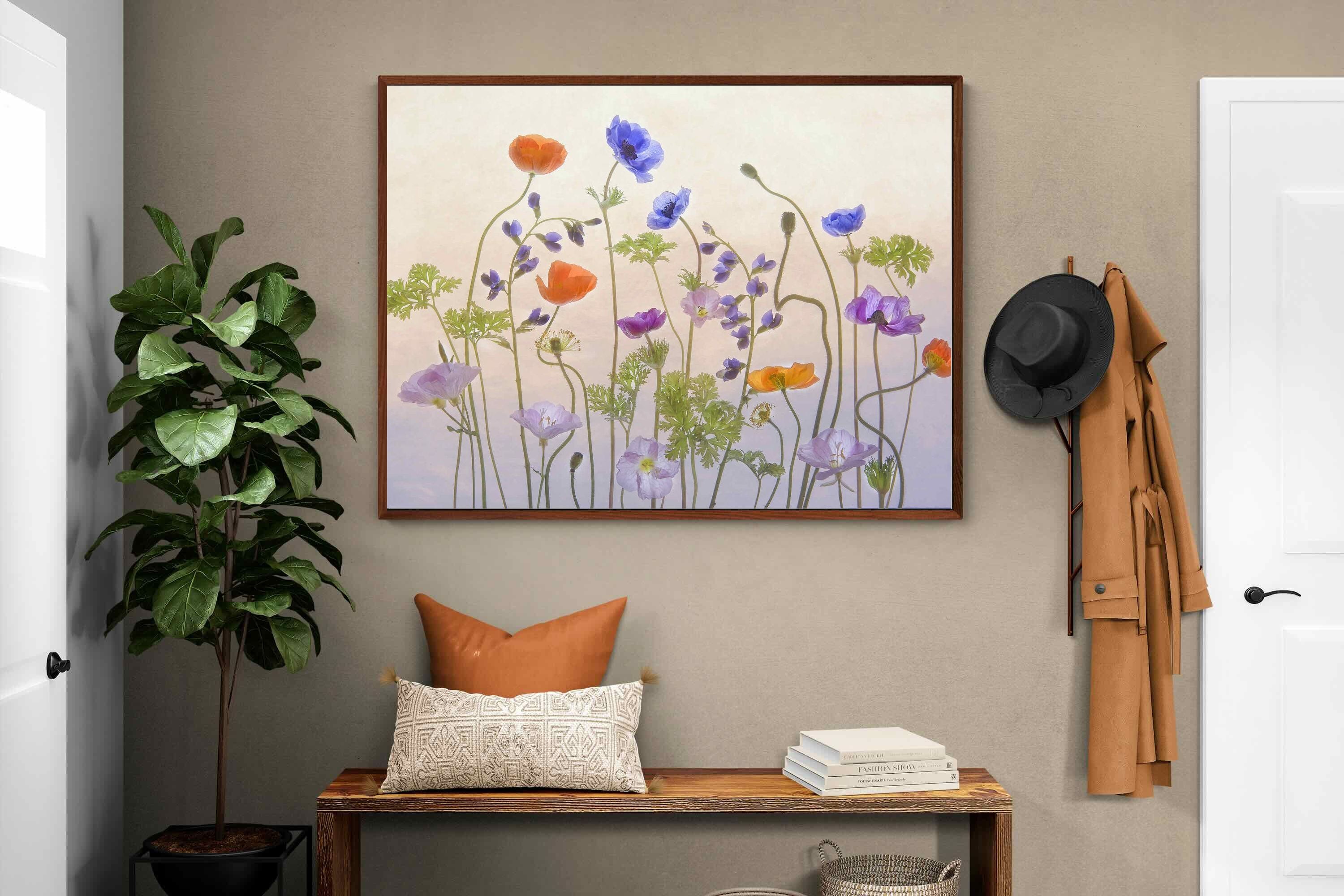 Pixalot ® Poppy Anemone