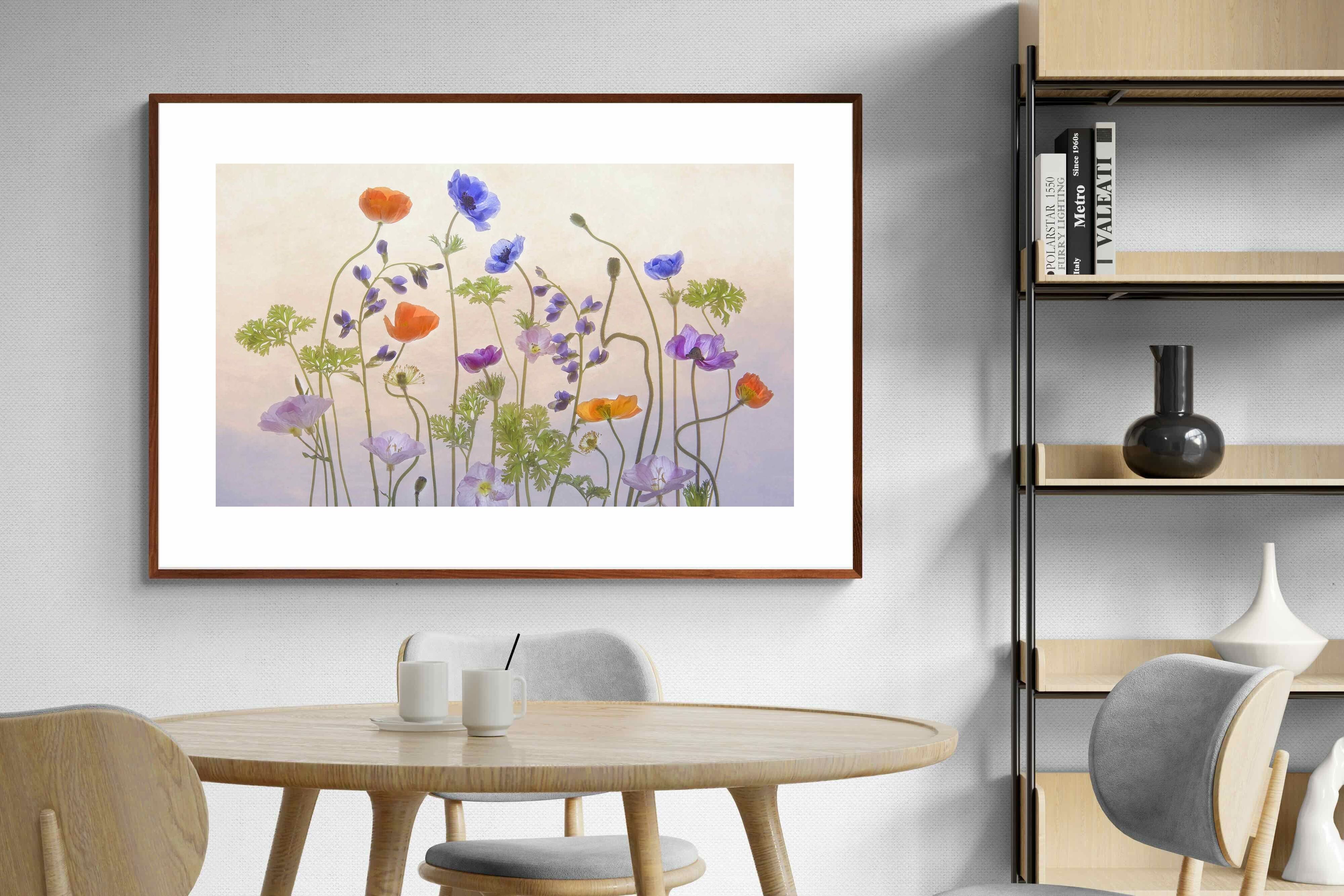 Pixalot ® Poppy Anemone