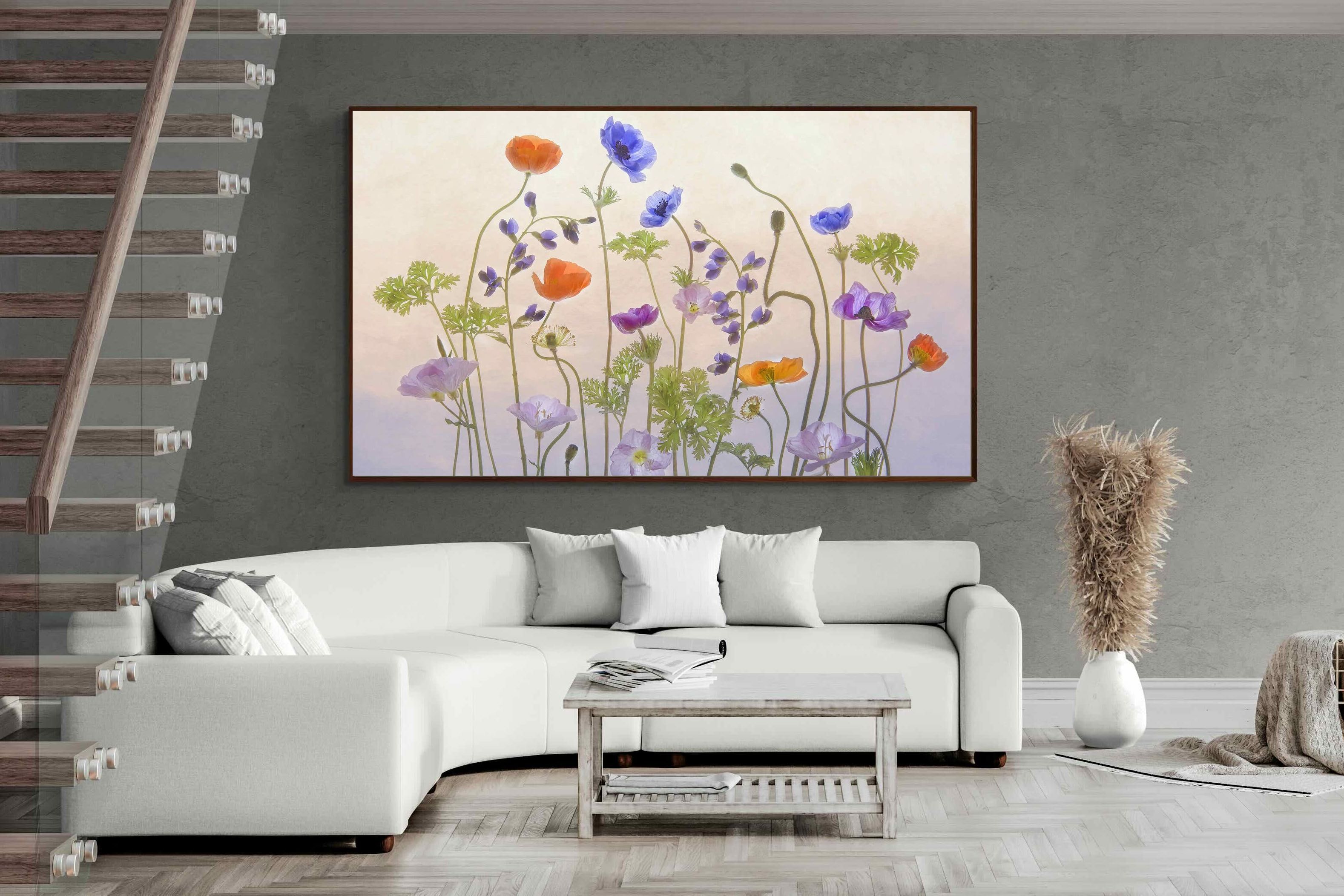 Pixalot ® Poppy Anemone