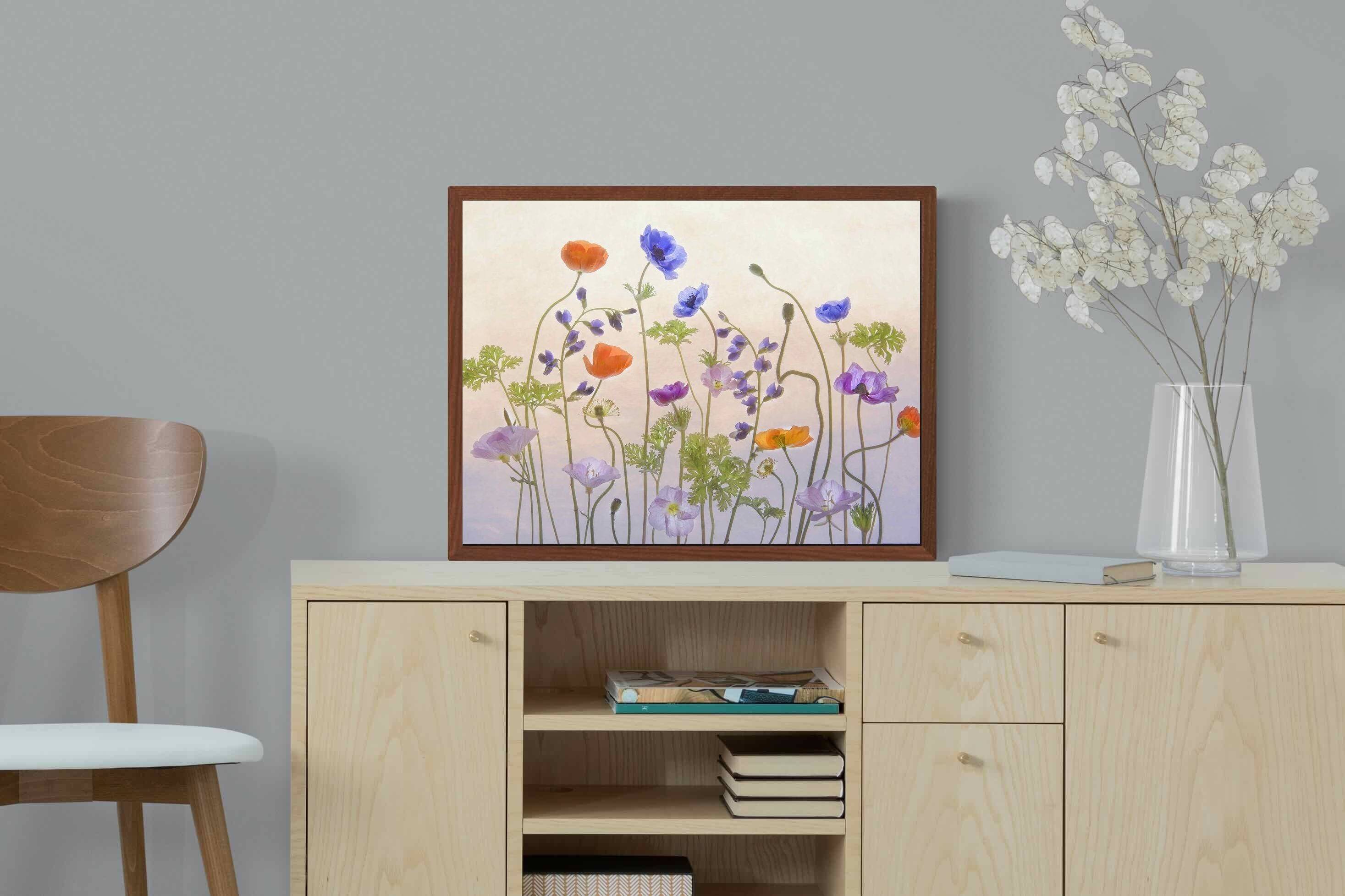 Pixalot ® Poppy Anemone