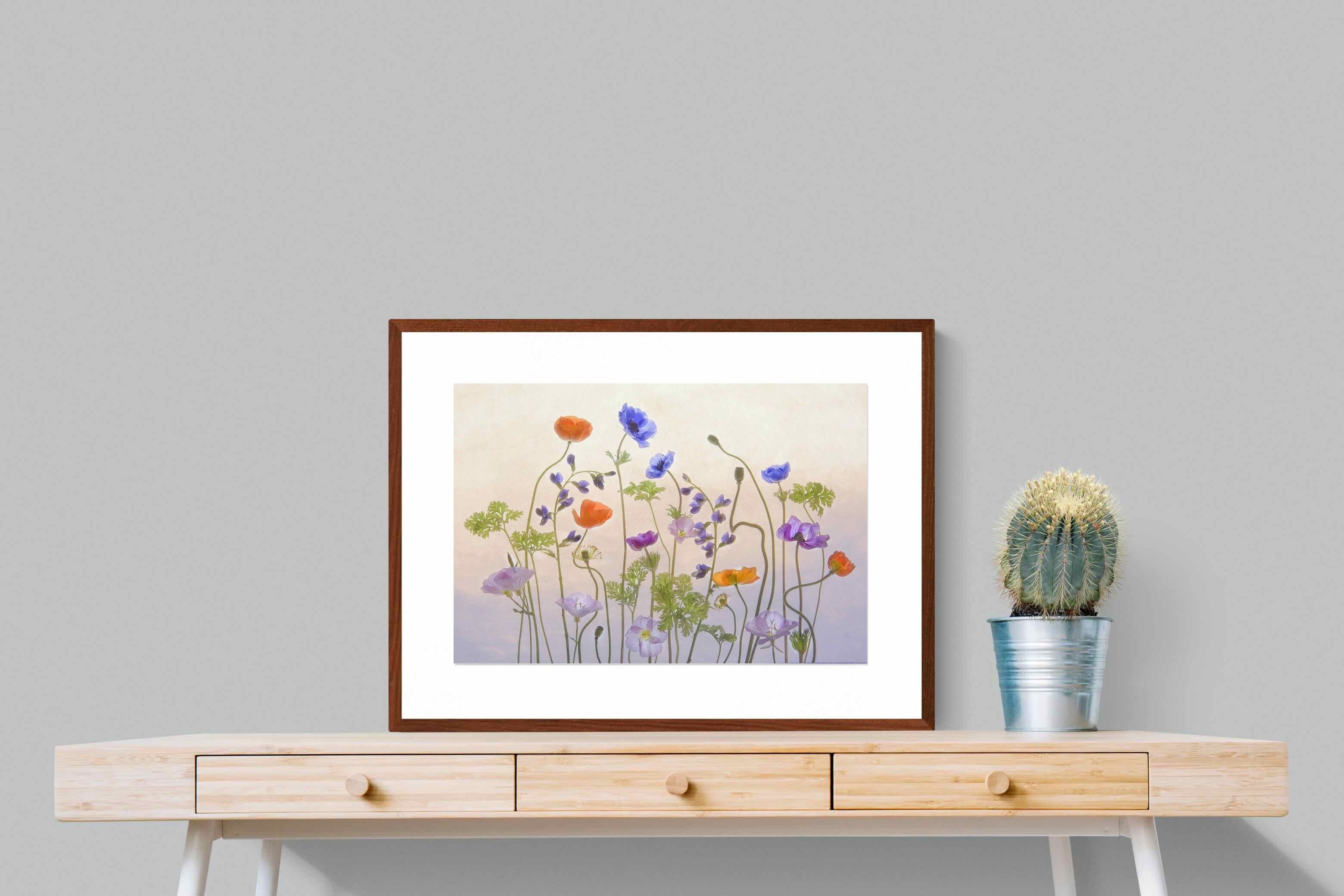 Pixalot ® Poppy Anemone