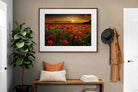 Pixalot ® Poppy Fields