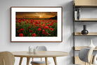 Pixalot ® Poppy Fields
