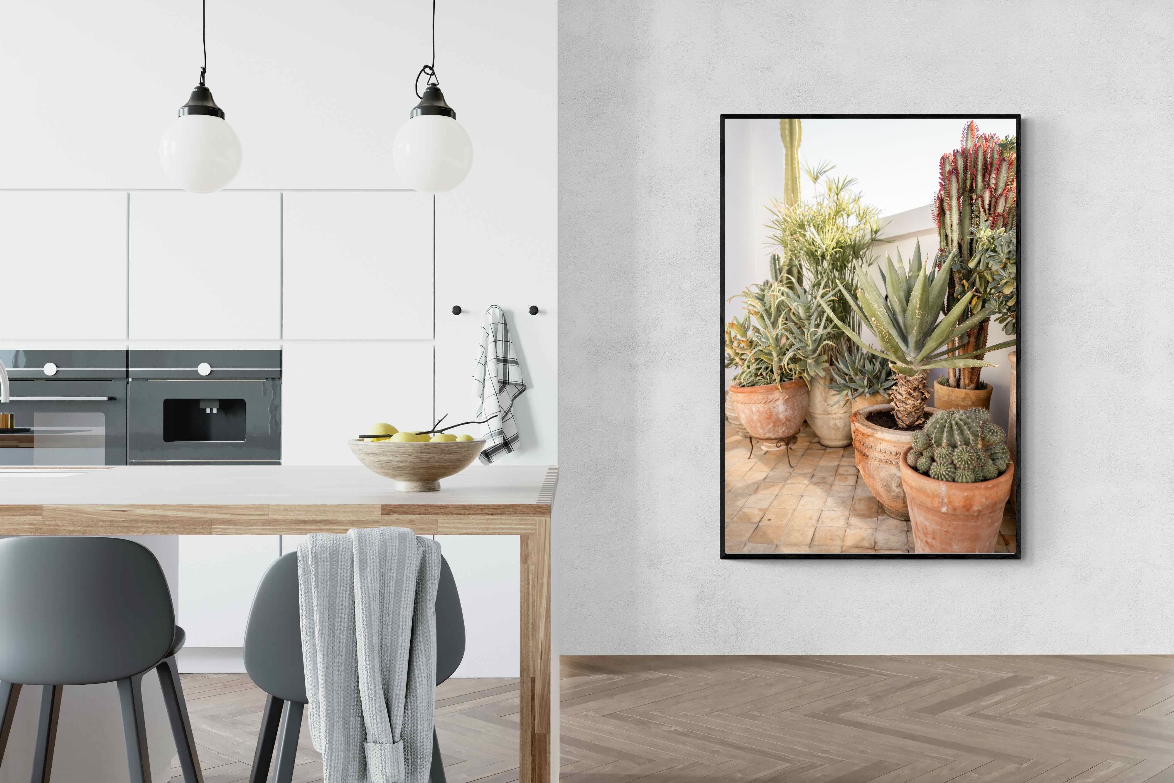 Pixalot Potted Succulents