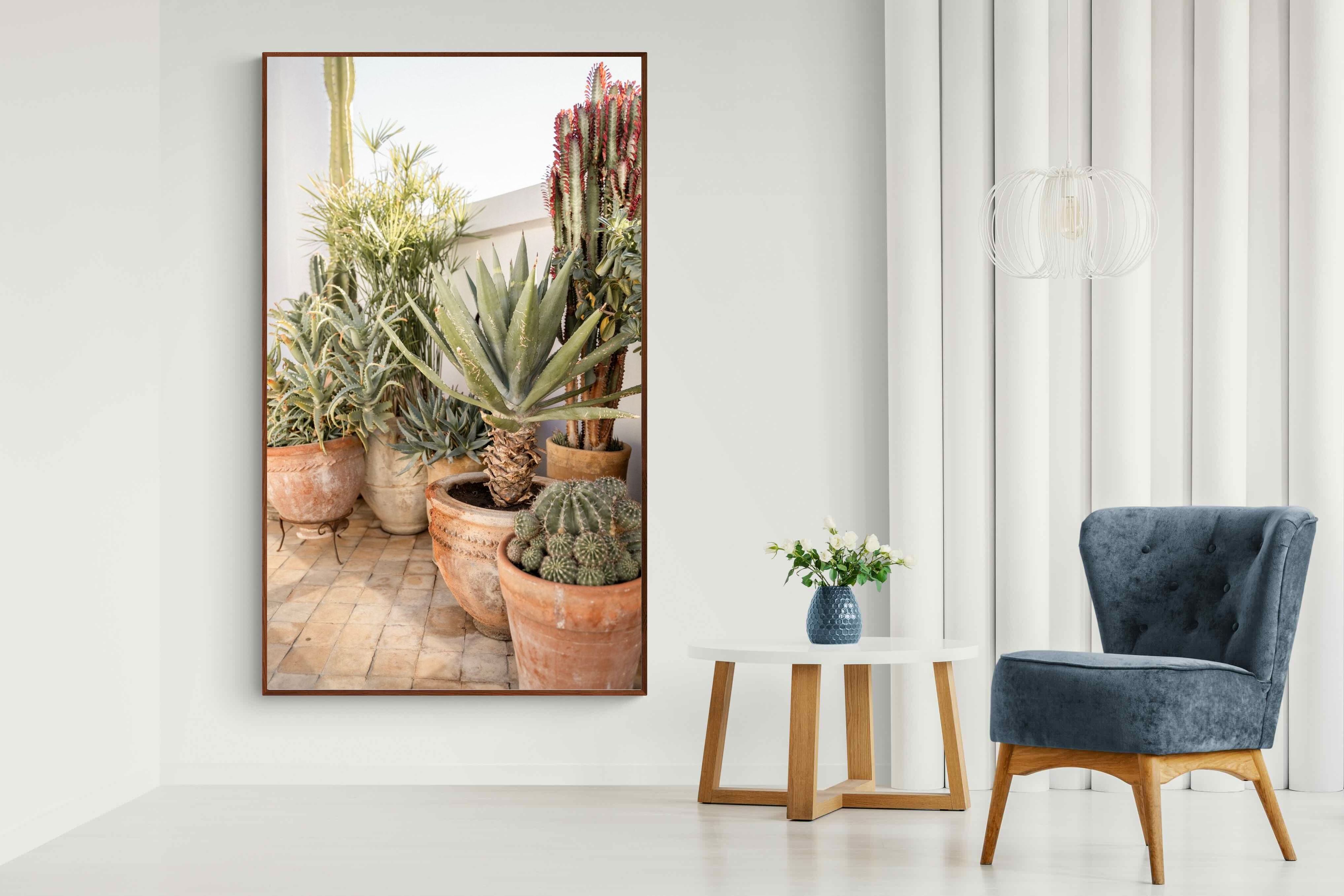 Pixalot Potted Succulents