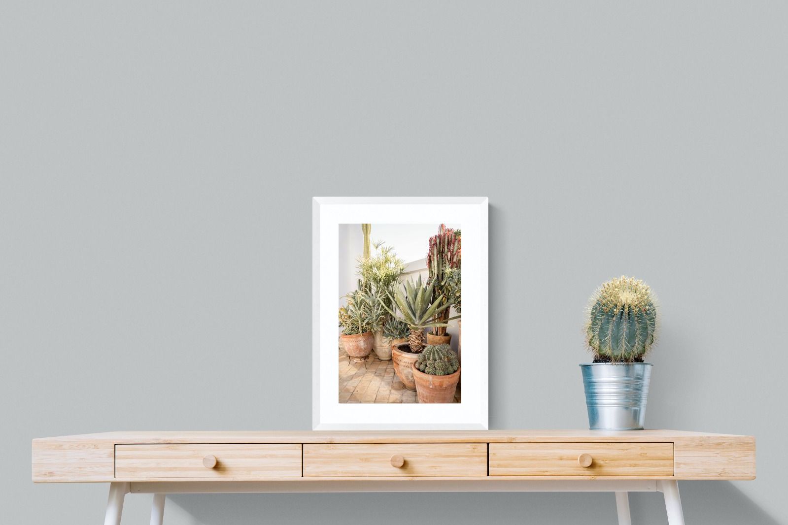 Pixalot Potted Succulents