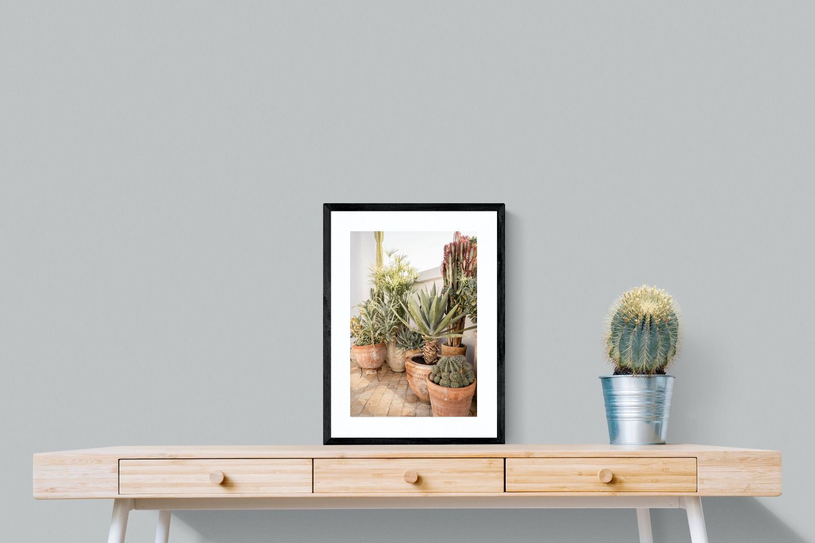 Pixalot Potted Succulents