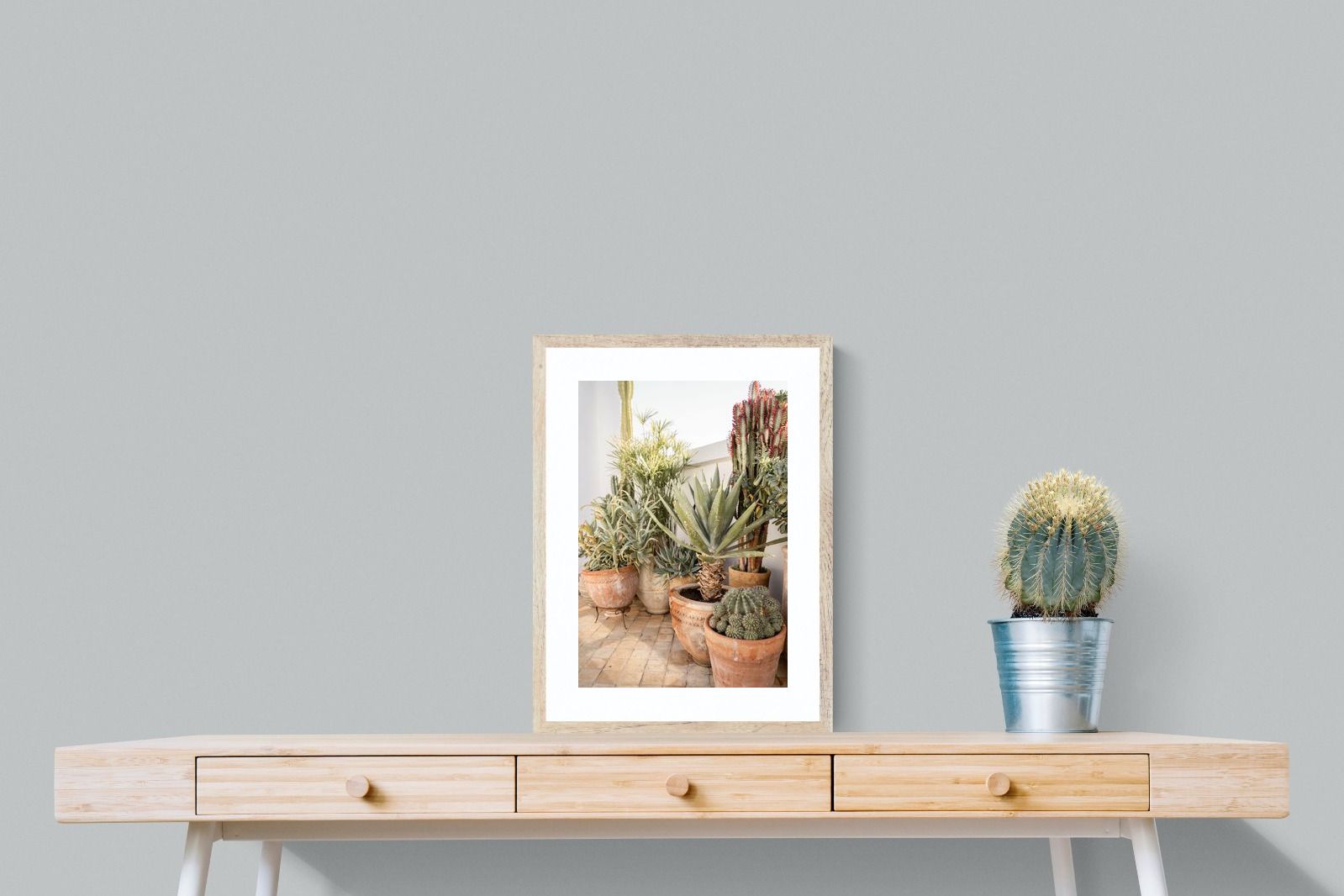 Pixalot Potted Succulents