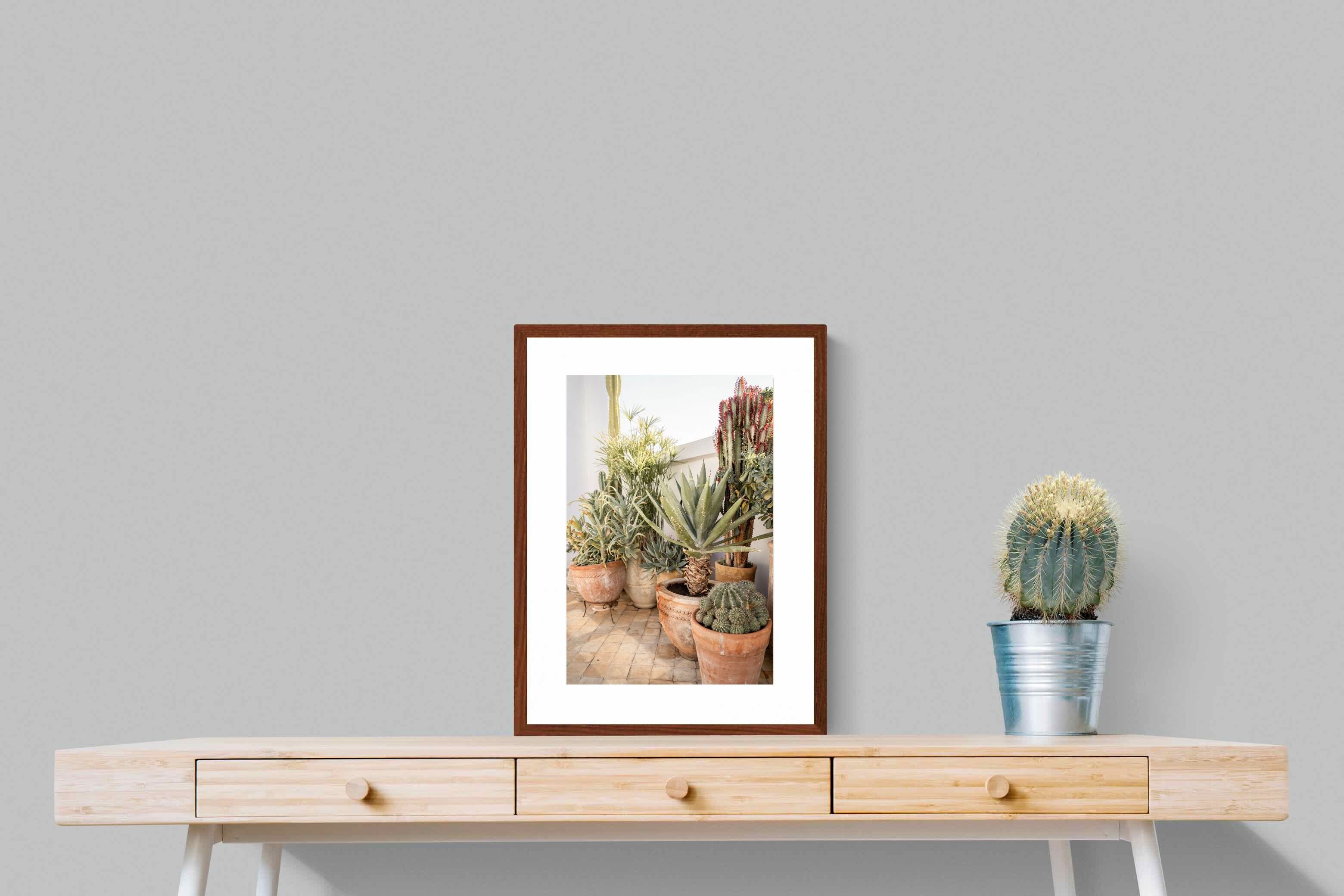 Pixalot Potted Succulents