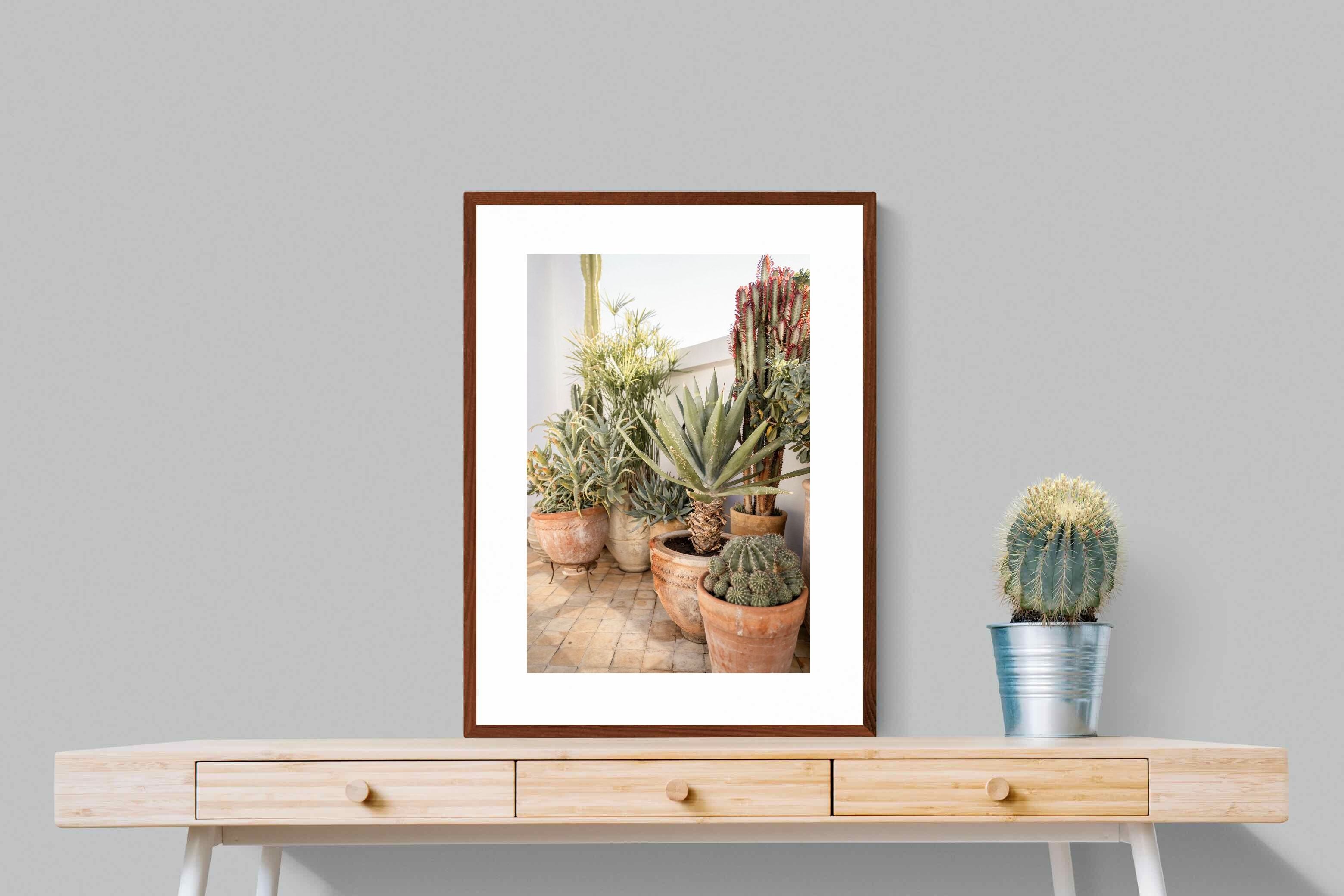 Pixalot Potted Succulents