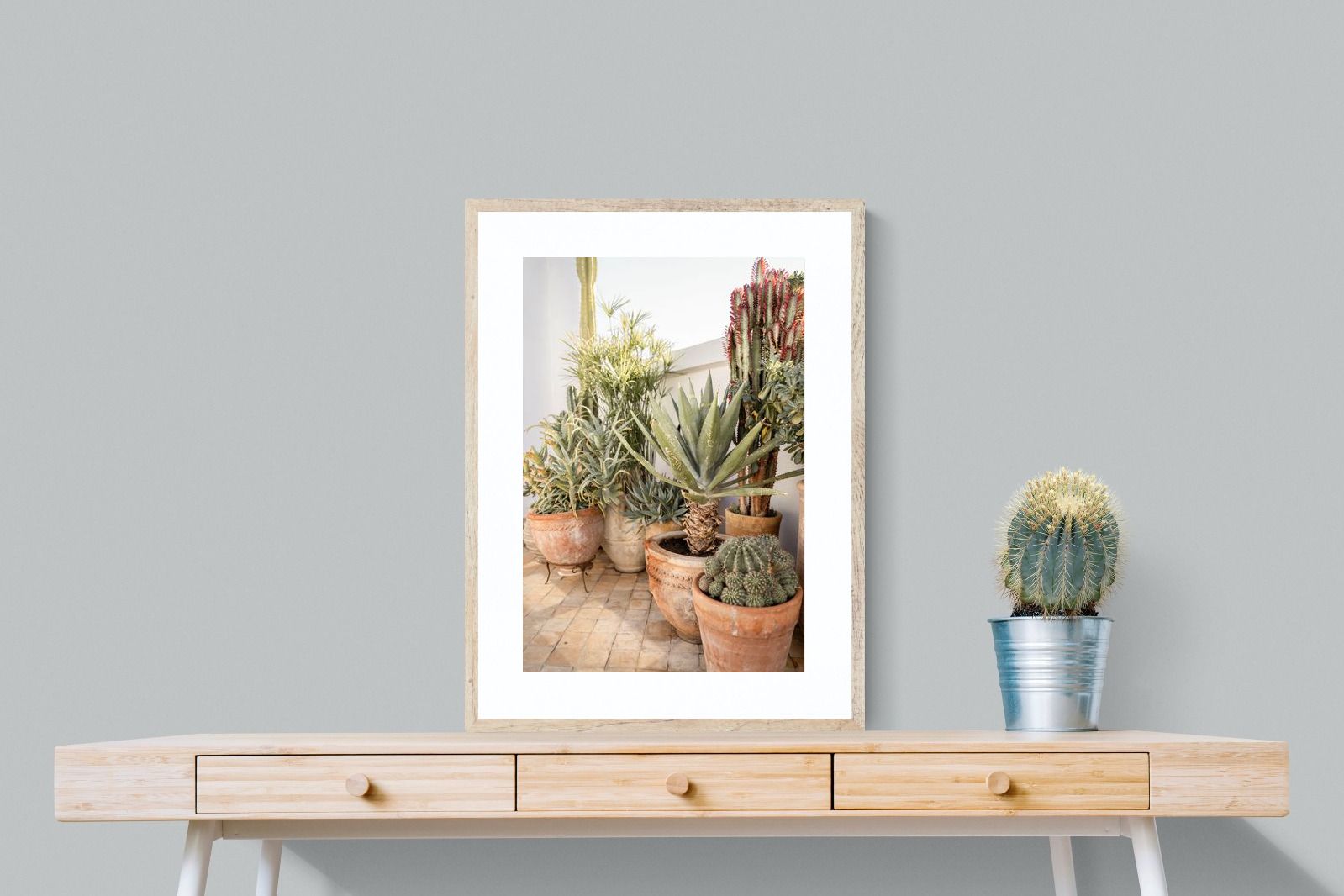 Pixalot Potted Succulents