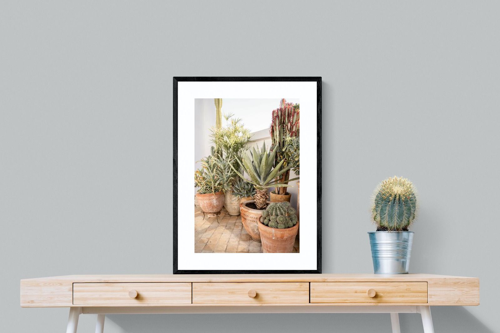 Pixalot Potted Succulents