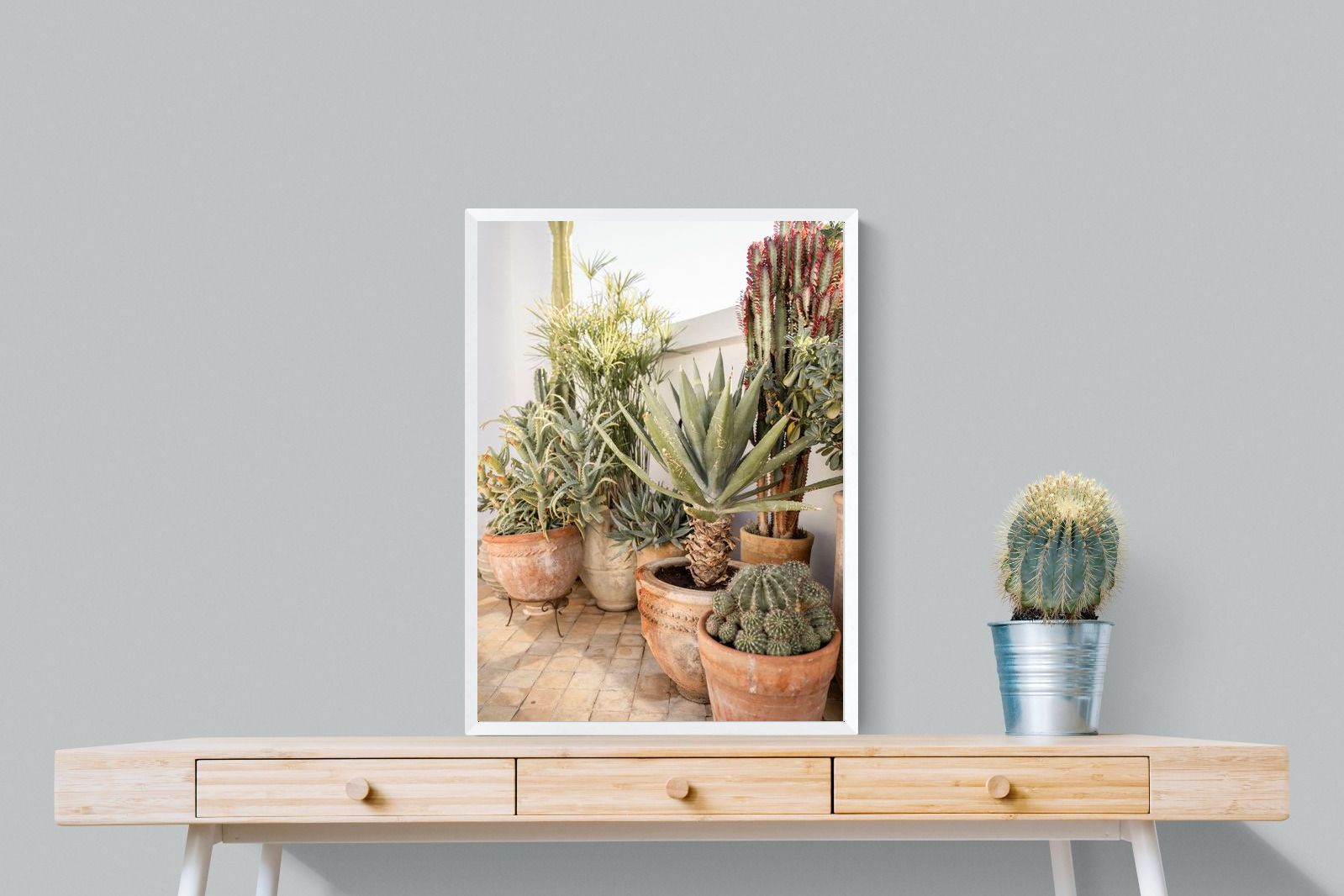 Pixalot Potted Succulents