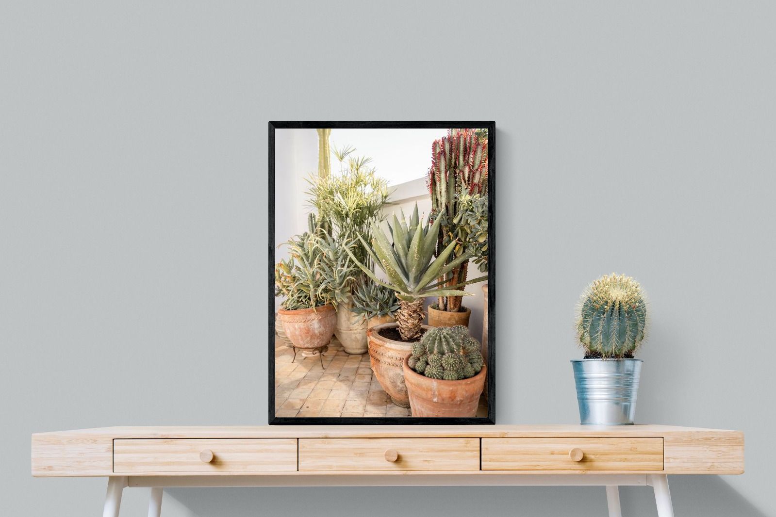 Pixalot Potted Succulents