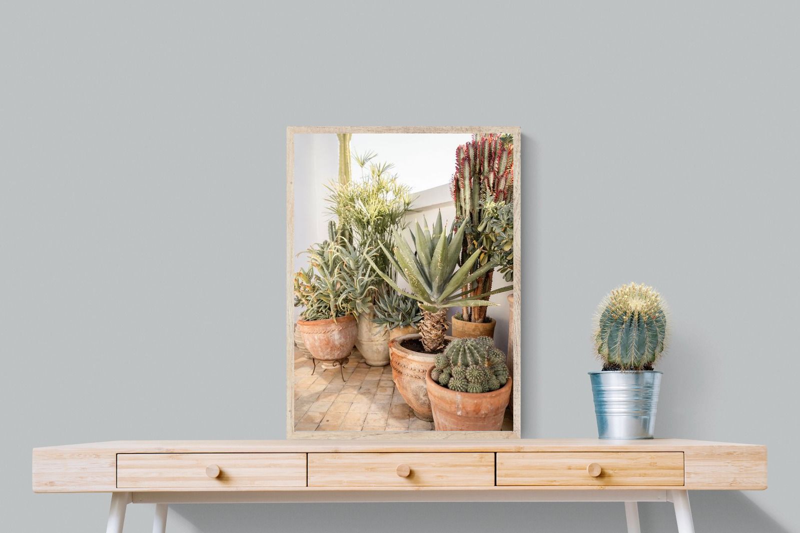 Pixalot Potted Succulents