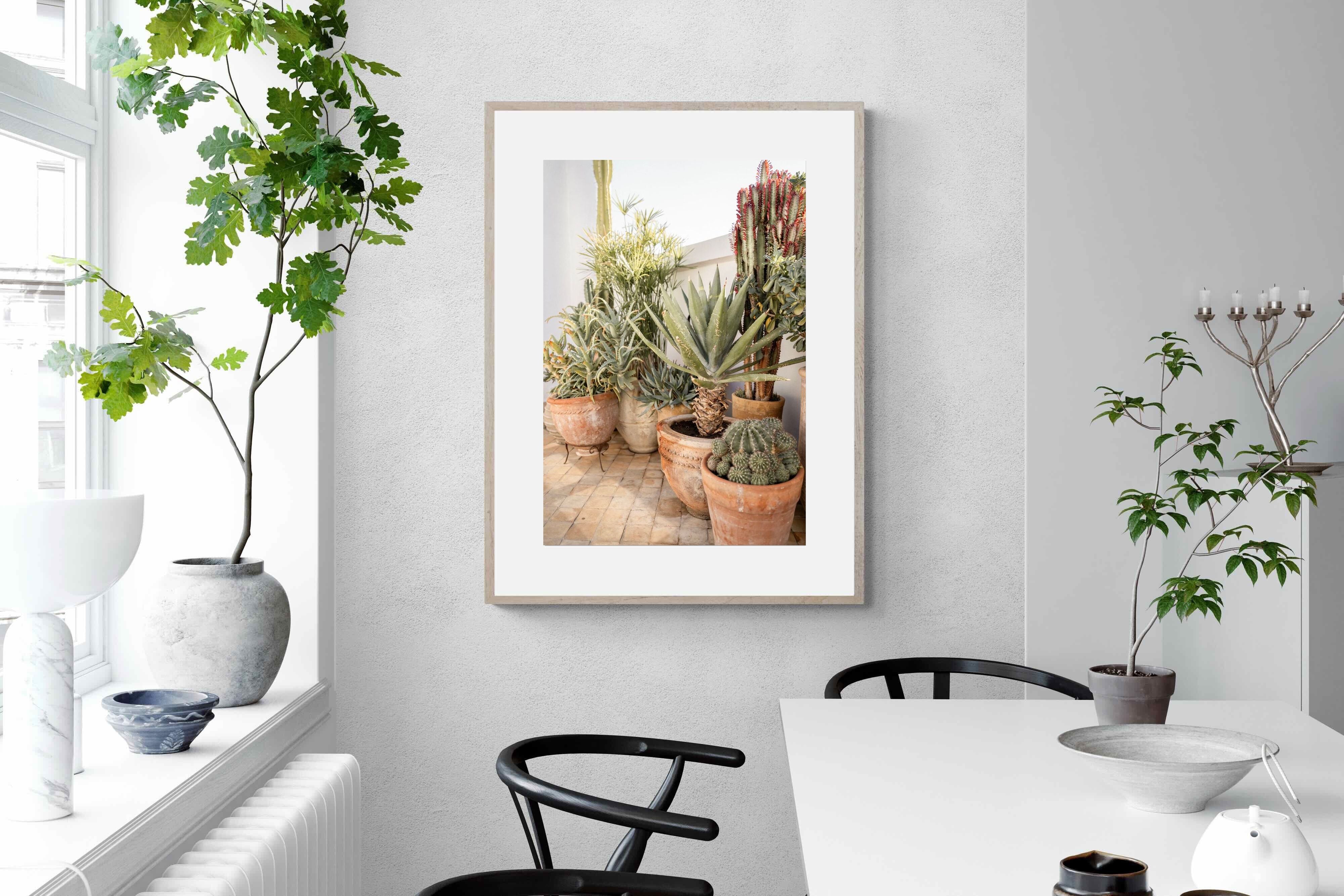 Pixalot Potted Succulents