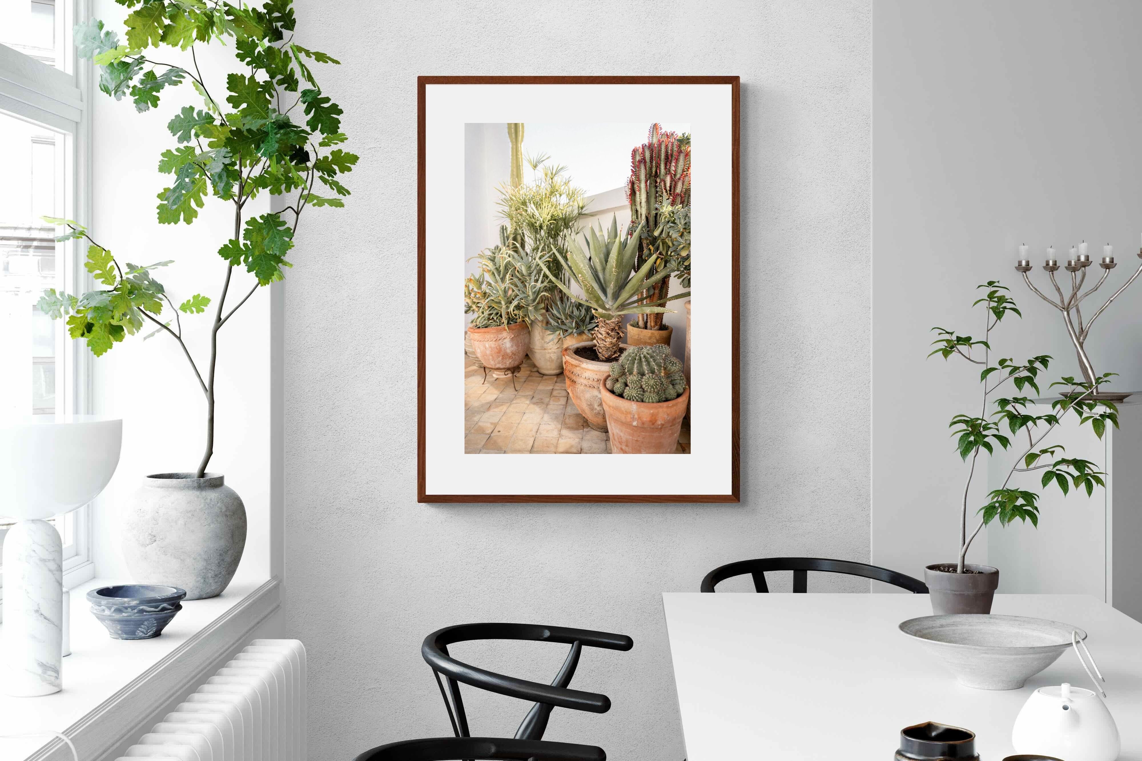 Pixalot Potted Succulents