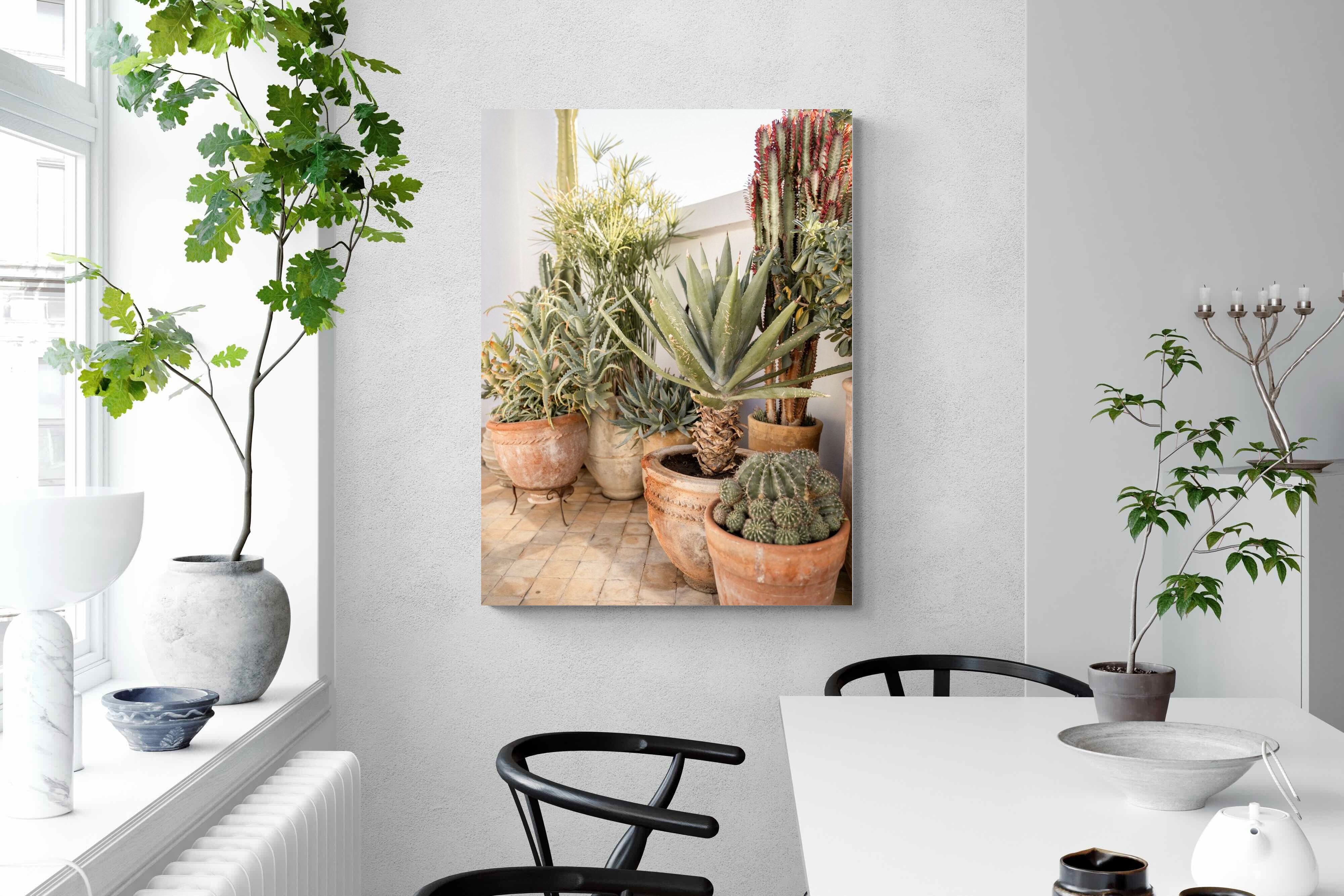 Pixalot Potted Succulents