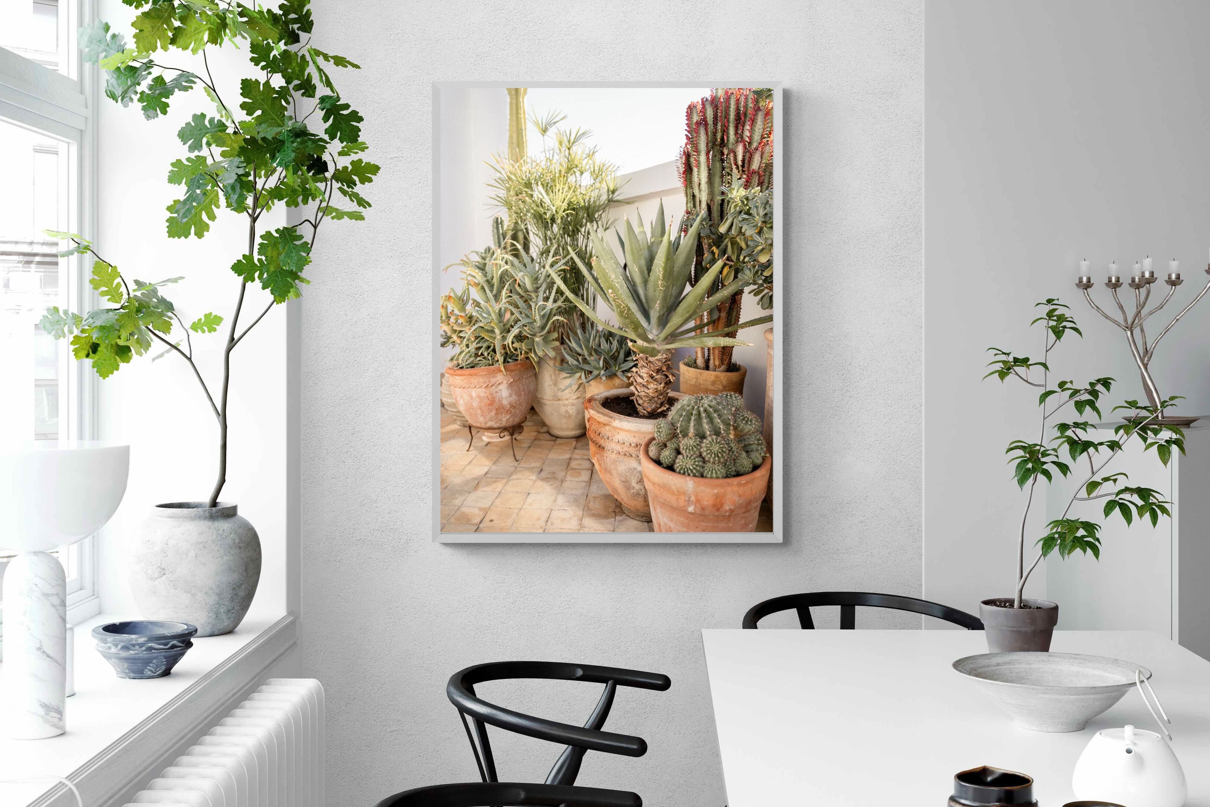 Pixalot Potted Succulents