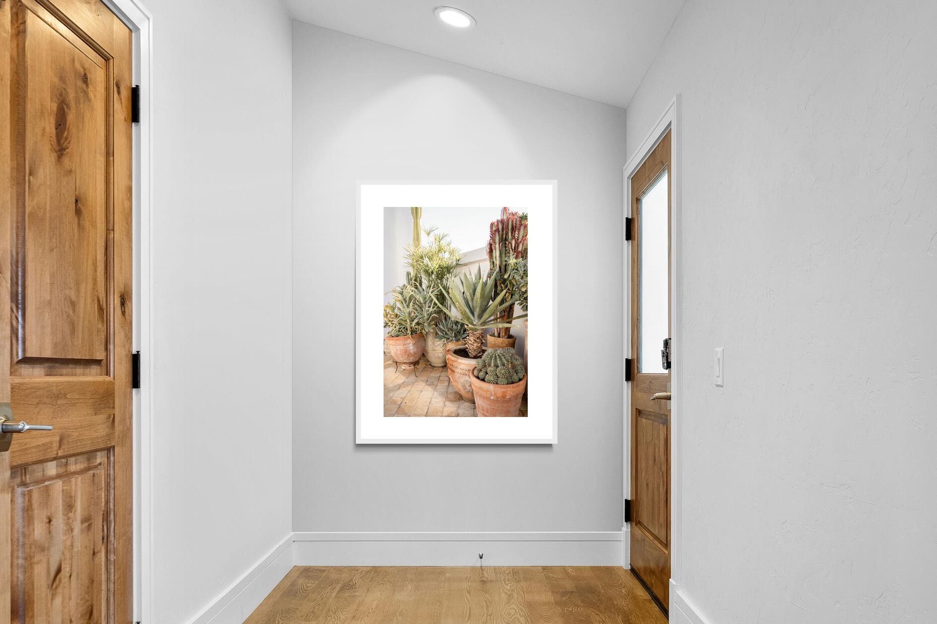 Pixalot Potted Succulents