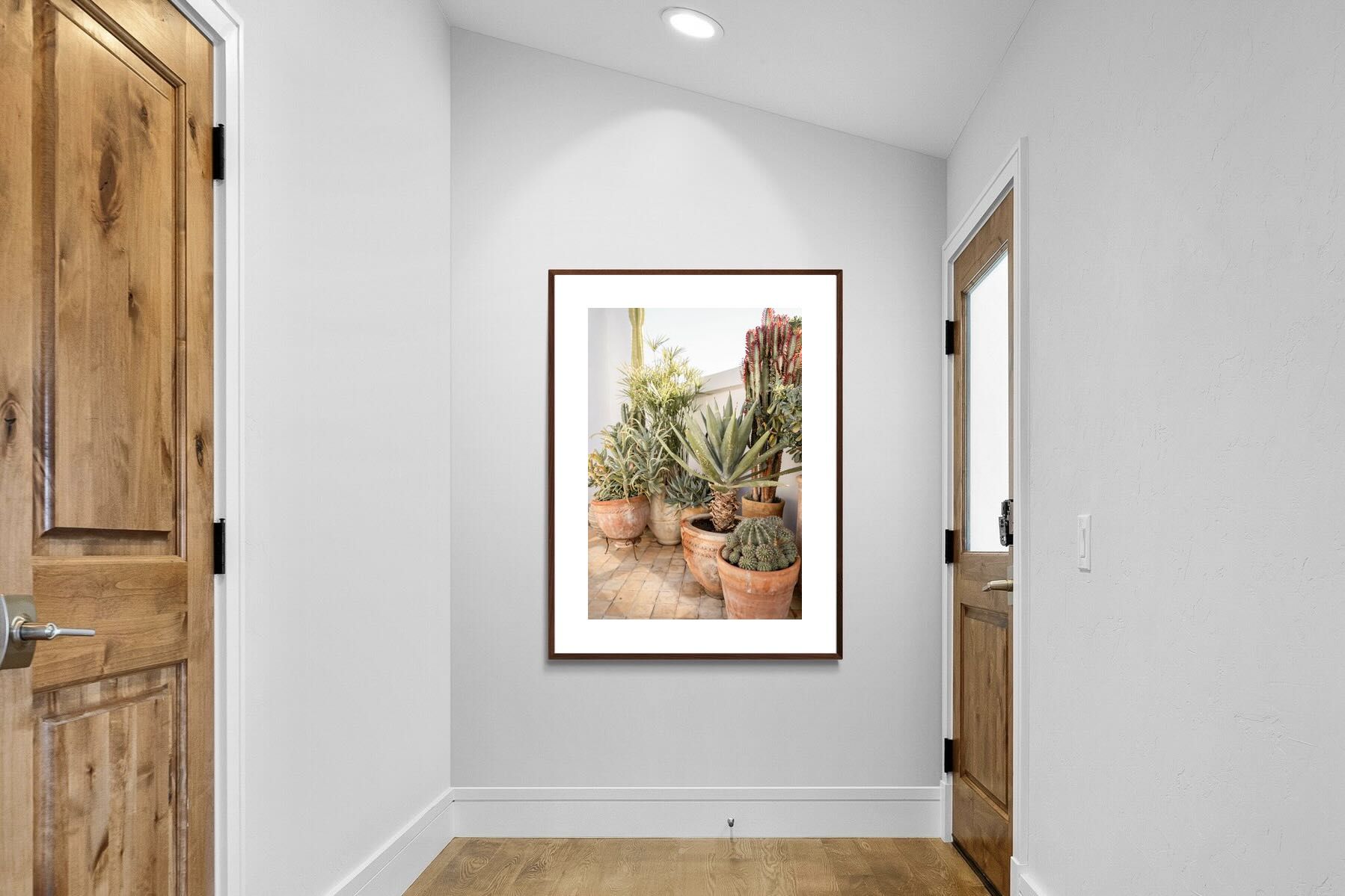 Pixalot Potted Succulents