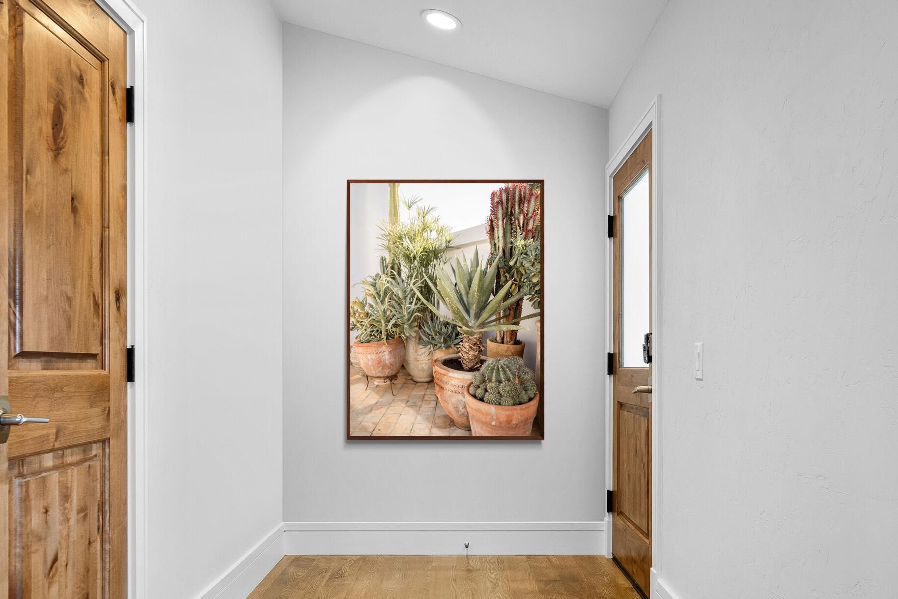 Pixalot Potted Succulents