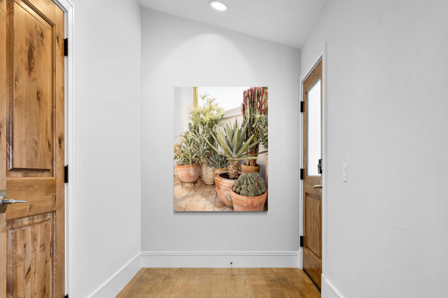 Pixalot Potted Succulents