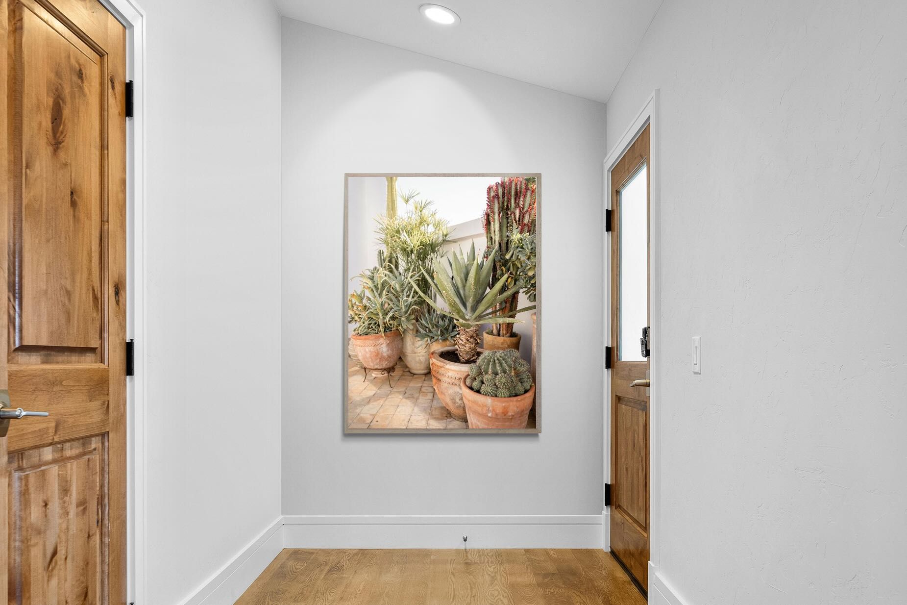 Pixalot Potted Succulents