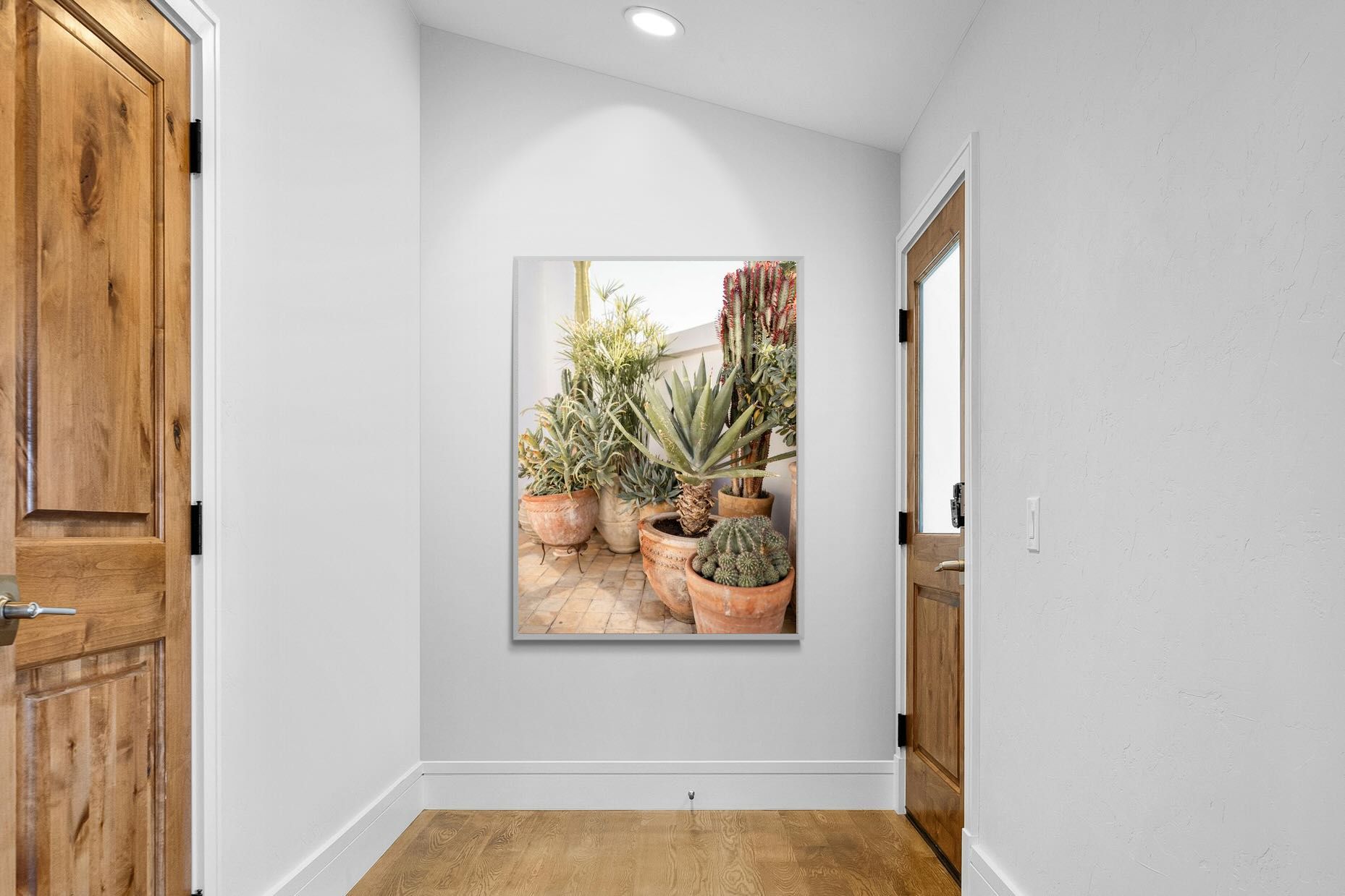 Pixalot Potted Succulents