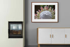 Pixalot ® Protea Bloom